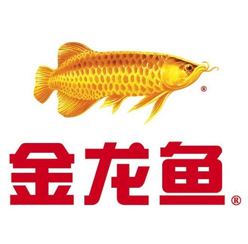 金龍魚(yú)