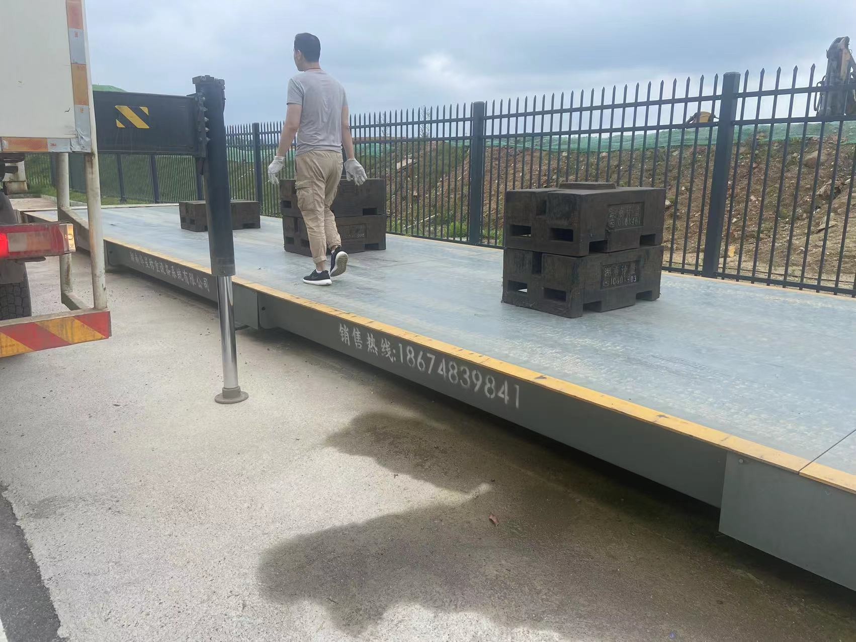 陽光明媚，元氣滿滿！