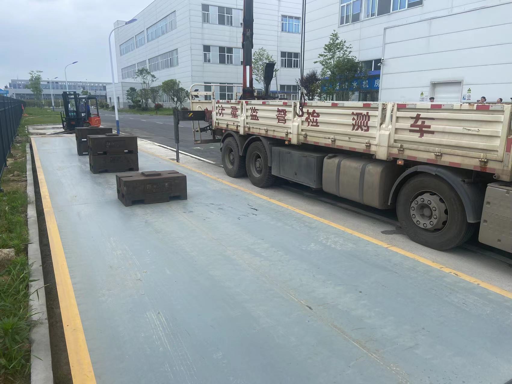 陽光明媚，元氣滿滿！