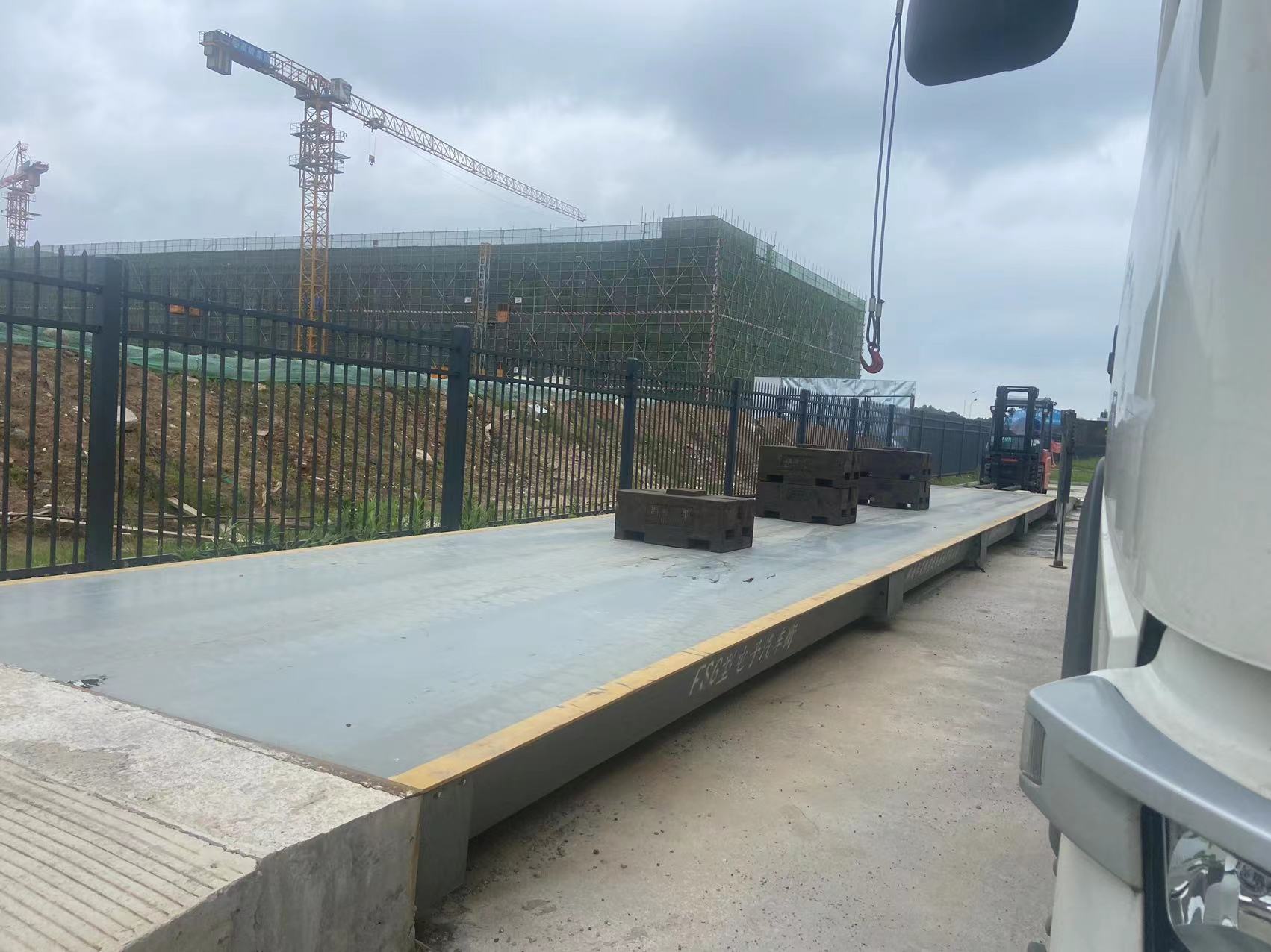 陽光明媚，元氣滿滿！